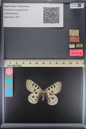 Media type: image;   Entomology 210425
